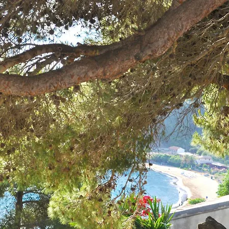 With Sea View And Pool - Corfu