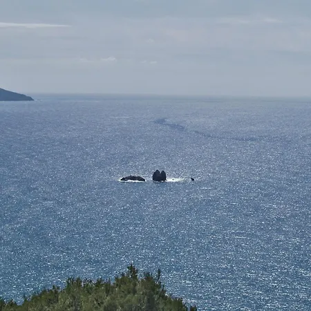 With Sea View And Pool - Corfu アパート